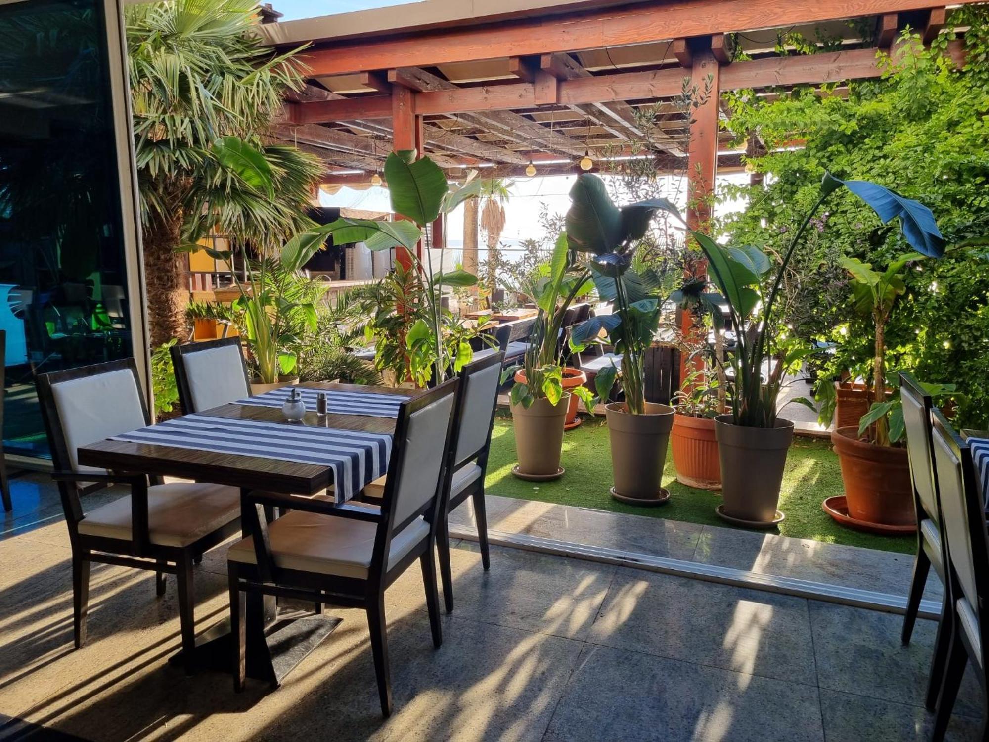 Hotel Gala Split Podstrana Exteriör bild